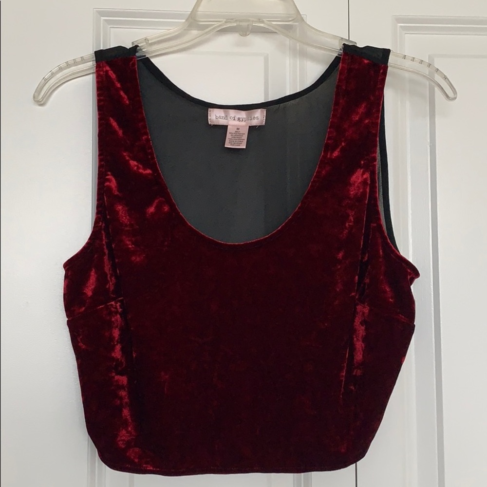 Band of Gypsies Red Velvet Crop Top Sheer Back